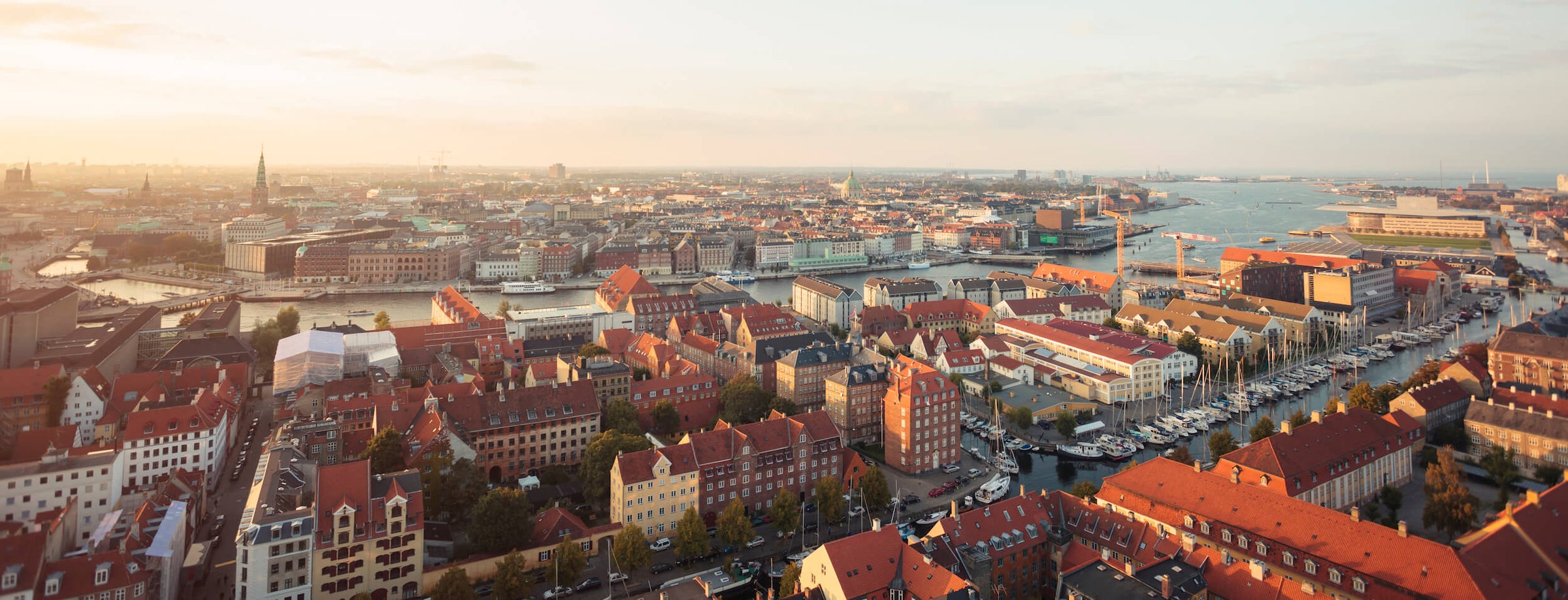anne copenhagen header